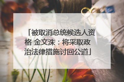 被取消总统候选人资格 金文洙：将采取政治法律措施讨回公道