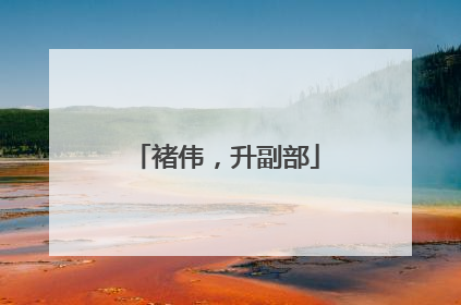 褚伟，升副部