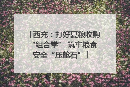 西充：打好夏粮收购“组合拳” 筑牢粮食安全“压舱石”