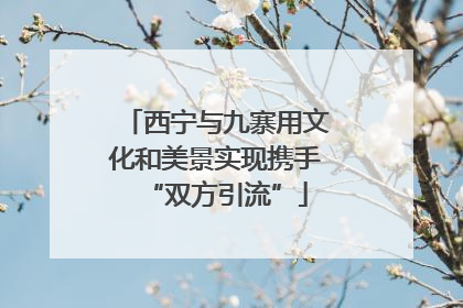 西宁与九寨用文化和美景实现携手“双方引流”