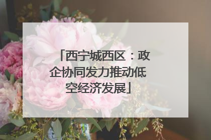 西宁城西区：政企协同发力推动低空经济发展