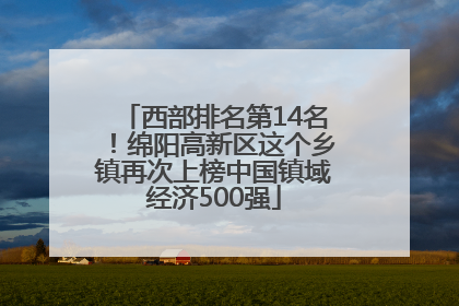 西部排名第14名！绵阳高新区这个乡镇再次上榜中国镇域经济500强