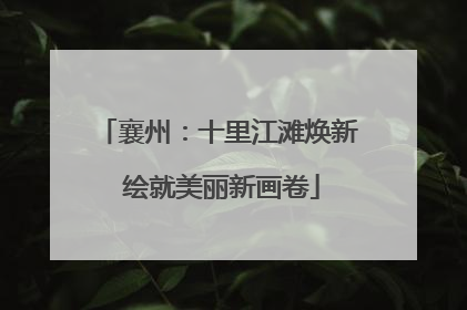 襄州：十里江滩焕新 绘就美丽新画卷