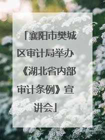 襄阳市樊城区审计局举办《湖北省内部审计条例》宣讲会