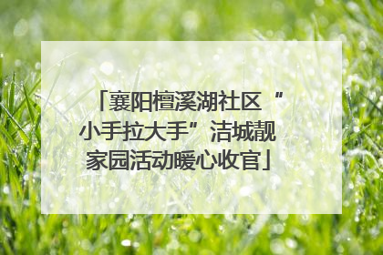 襄阳檀溪湖社区“小手拉大手”洁城靓家园活动暖心收官