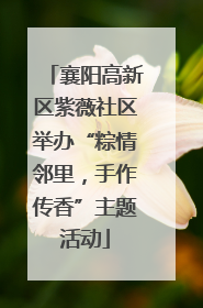 襄阳高新区紫薇社区举办“粽情邻里，手作传香”主题活动