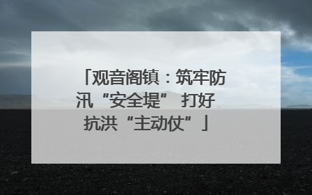 观音阁镇：筑牢防汛“安全堤” 打好抗洪“主动仗”
