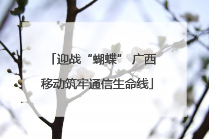 迎战“蝴蝶” 广西移动筑牢通信生命线
