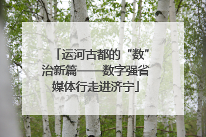 运河古都的“数”治新篇——数字强省媒体行走进济宁