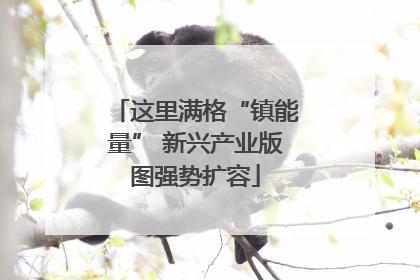 这里满格“镇能量” 新兴产业版图强势扩容
