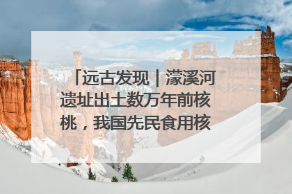 远古发现｜濛溪河遗址出土数万年前核桃，我国先民食用核桃历史大幅提前
