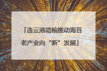 连云港赣榆推动海苔老产业向“新”发展
