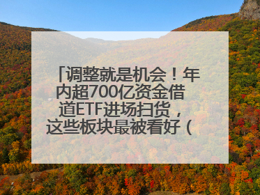 调整就是机会！年内超700亿资金借道ETF进场扫货，这些板块最被看好（附名单）