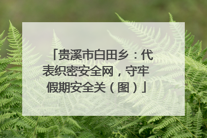 贵溪市白田乡：代表织密安全网，守牢假期安全关（图）
