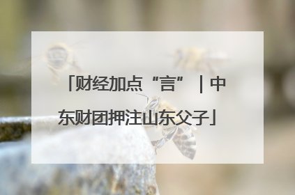 财经加点“言”｜中东财团押注山东父子
