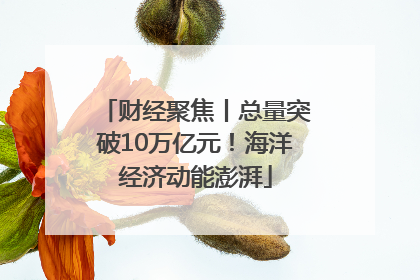财经聚焦丨总量突破10万亿元！海洋经济动能澎湃