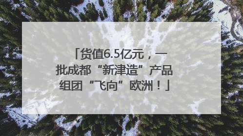 货值6.5亿元，一批成都“新津造”产品组团“飞向”欧洲！