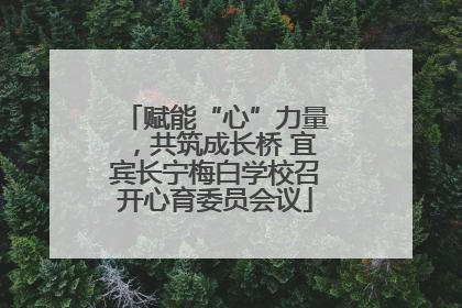 赋能“心”力量，共筑成长桥 宜宾长宁梅白学校召开心育委员会议