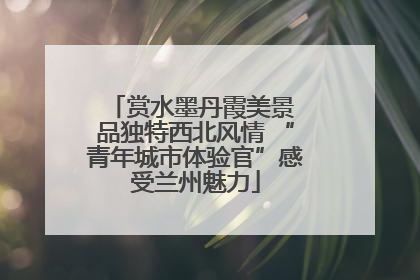 赏水墨丹霞美景 品独特西北风情 “青年城市体验官”感受兰州魅力
