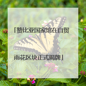 赞比亚国家馆在自贸雨花区块正式揭牌