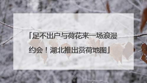足不出户与荷花来一场浪漫约会！湖北推出赏荷地图