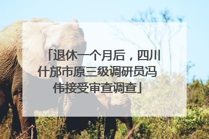 退休一个月后，四川什邡市原三级调研员冯伟接受审查调查