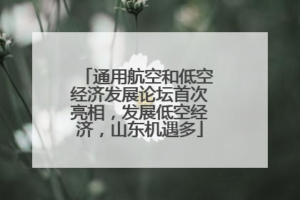通用航空和低空经济发展论坛首次亮相，发展低空经济，山东机遇多