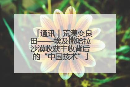 通讯丨荒漠变良田——埃及撒哈拉沙漠收获丰收背后的“中国技术”