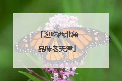逛吃西北角 品味老天津
