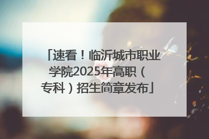 速看！临沂城市职业学院2025年高职（专科）招生简章发布
