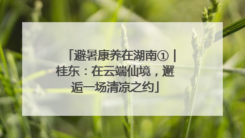 避暑康养在湖南①｜桂东：在云端仙境，邂逅一场清凉之约
