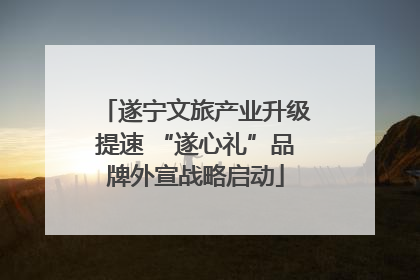 遂宁文旅产业升级提速 “遂心礼”品牌外宣战略启动