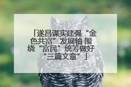 遂昌谋实建强“金色共富”发展轴 围绕“富民”统筹做好“三篇文章”