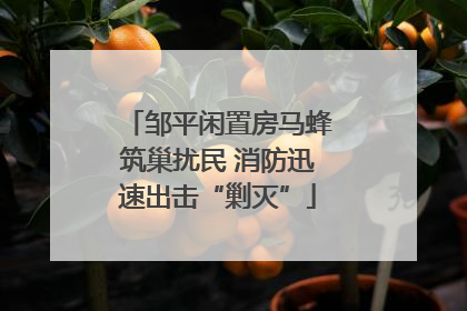 邹平闲置房马蜂筑巢扰民 消防迅速出击“剿灭”