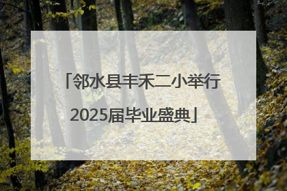 邻水县丰禾二小举行2025届毕业盛典