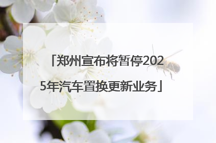郑州宣布将暂停2025年汽车置换更新业务