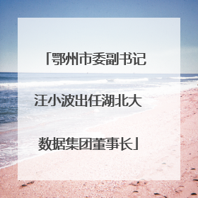 鄂州市委副书记汪小波出任湖北大数据集团董事长