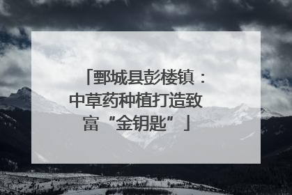 鄄城县彭楼镇：中草药种植打造致富“金钥匙”