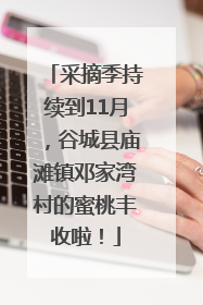 采摘季持续到11月，谷城县庙滩镇邓家湾村的蜜桃丰收啦！