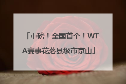 重磅！全国首个！WTA赛事花落县级市京山