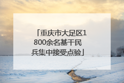 重庆市大足区1800余名基干民兵集中接受点验