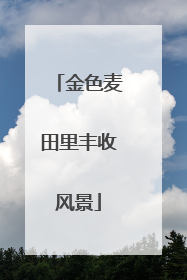 金色麦田里丰收风景