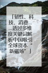 韧性、科技、消费……透过多维度关键词解析中国吸引全球资本“新磁场”