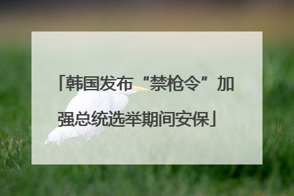 韩国发布“禁枪令”加强总统选举期间安保