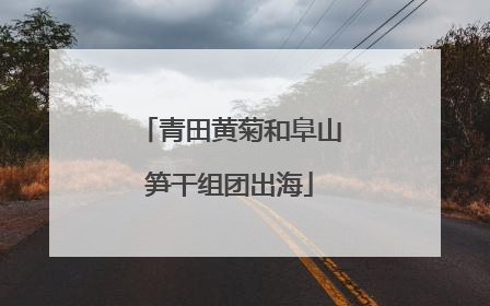 青田黄菊和阜山笋干组团出海