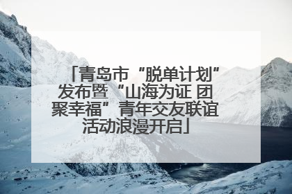 青岛市“脱单计划”发布暨“山海为证 团聚幸福”青年交友联谊活动浪漫开启