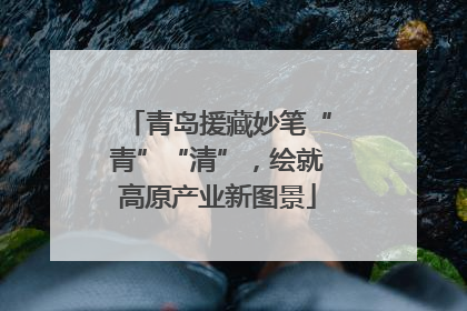 青岛援藏妙笔“青”“清”，绘就高原产业新图景