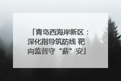 青岛西海岸新区：深化指导筑防线 靶向监督守“薪”安