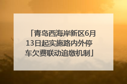 青岛西海岸新区6月13日起实施路内外停车欠费联动追缴机制