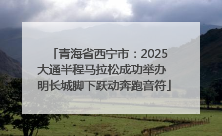 青海省西宁市：2025大通半程马拉松成功举办 明长城脚下跃动奔跑音符